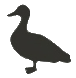 Ente