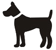 Hund