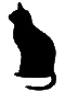 Katze